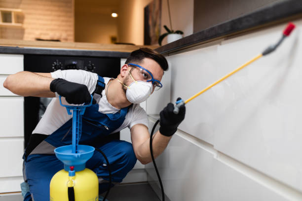 Professional Pest Control in Tahoka, TX