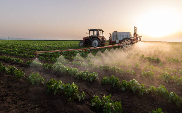 Pest Prevention Services in Tahoka, TX