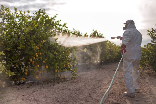 Best Affordable Pest Control Services  in Tahoka, TX