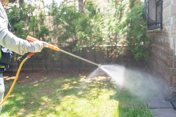 Best Ant Control Services  in Tahoka, TX